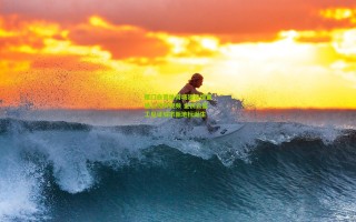 厦门白鹭体育场建设慢直播上线央视频 全民云监工见证城市新地标诞生