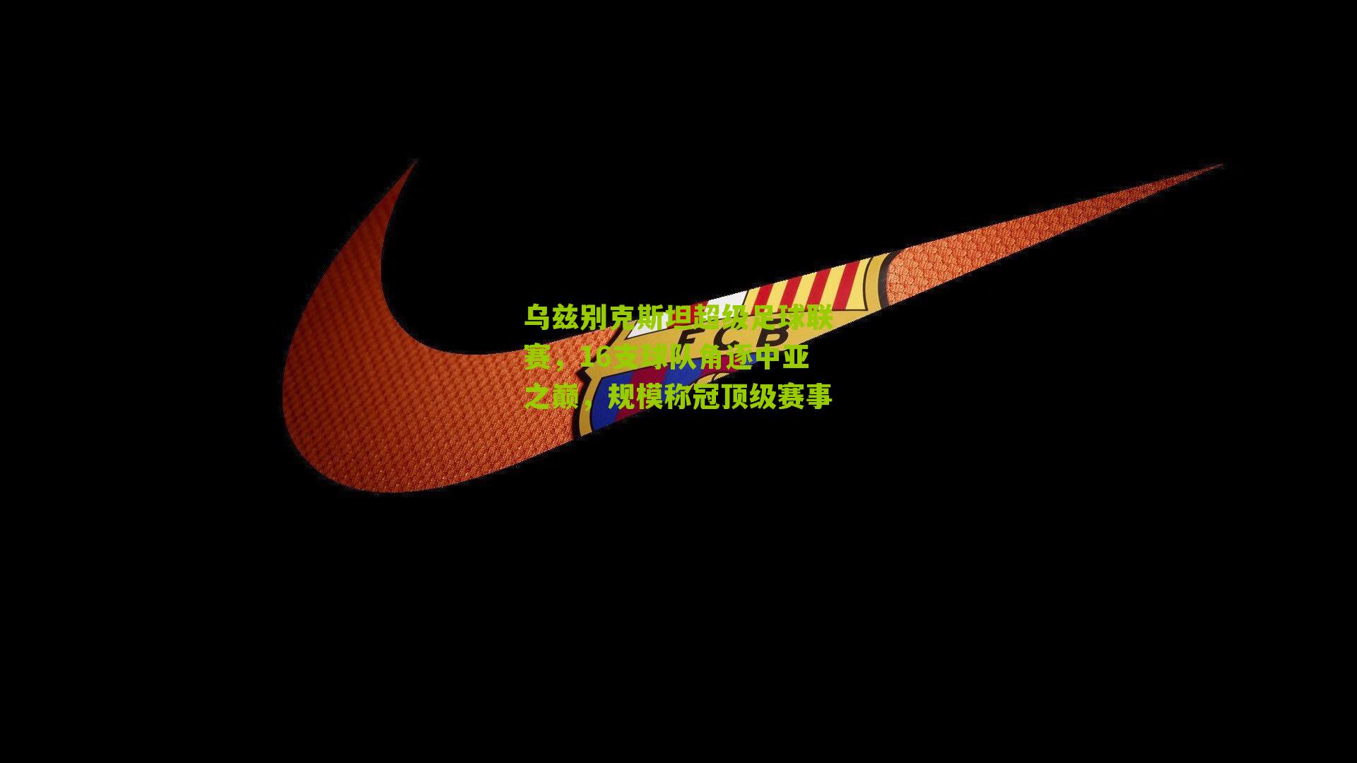 乌兹别克斯坦超级足球联赛，16支球队角逐中亚之巅，规模称冠顶级赛事-第1张图片-开云官网首页-足球篮球直播平台